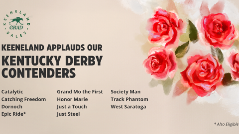 derby contenders