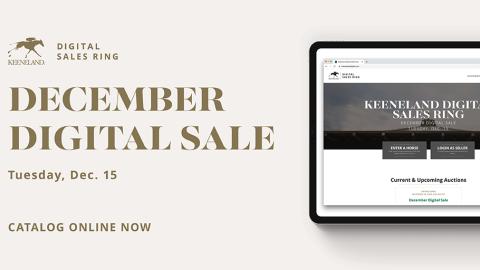 Dec. digital sale