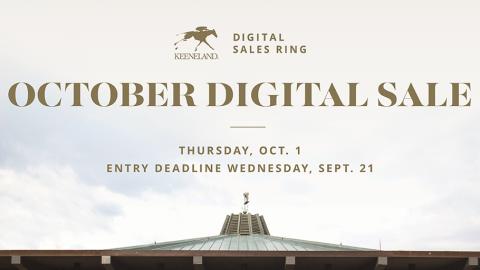 October Digital Sale