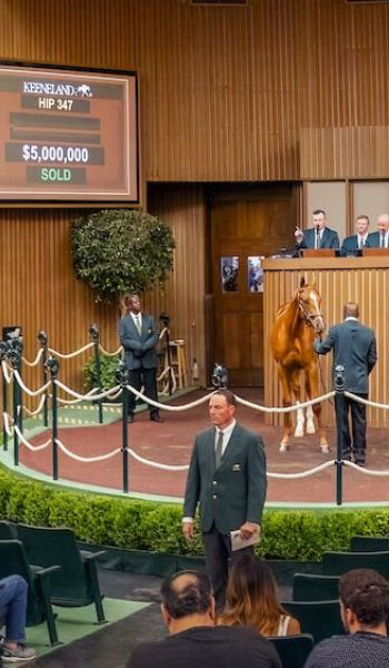 Auction ring of Keeneland Sales Pavilion