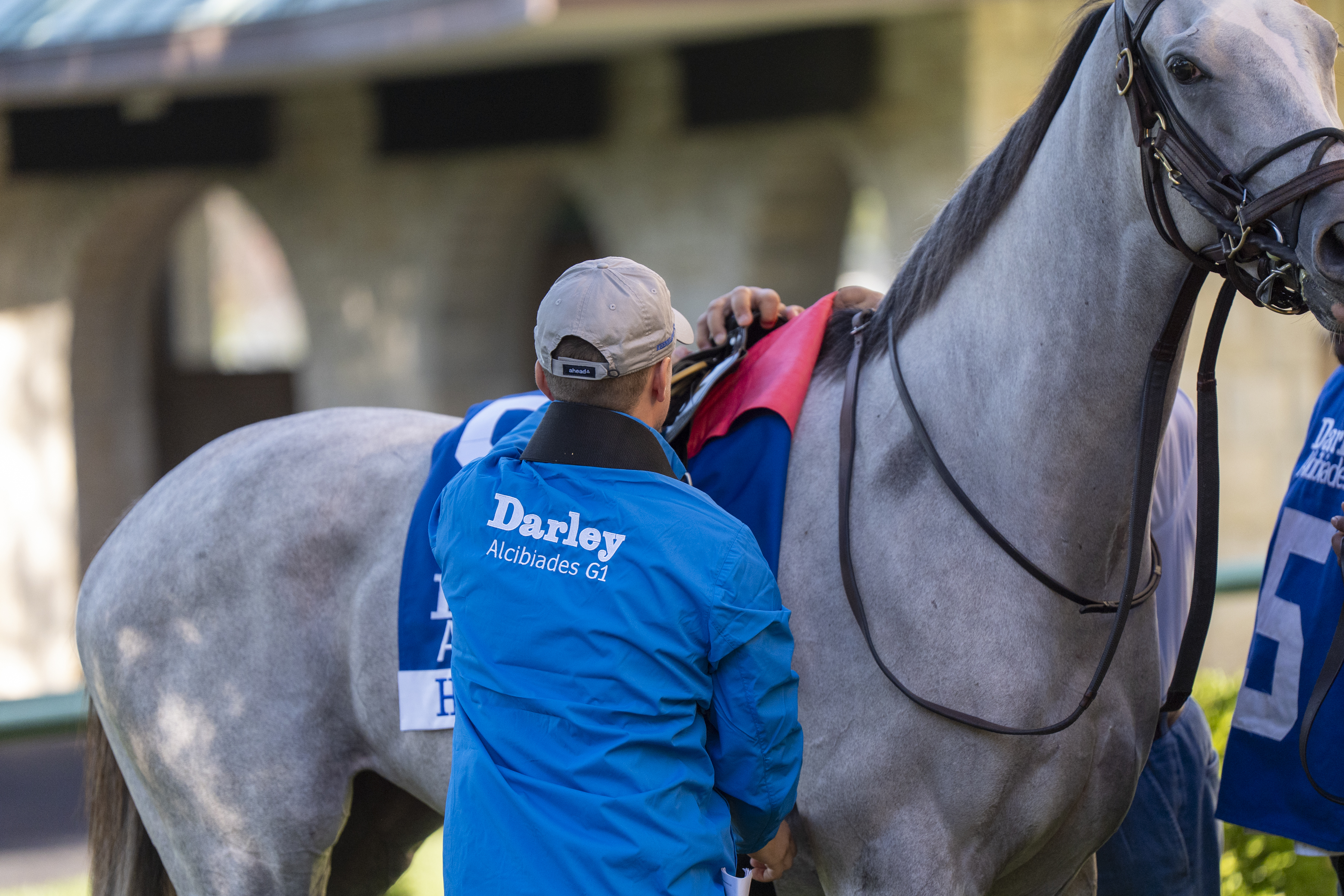 Darley