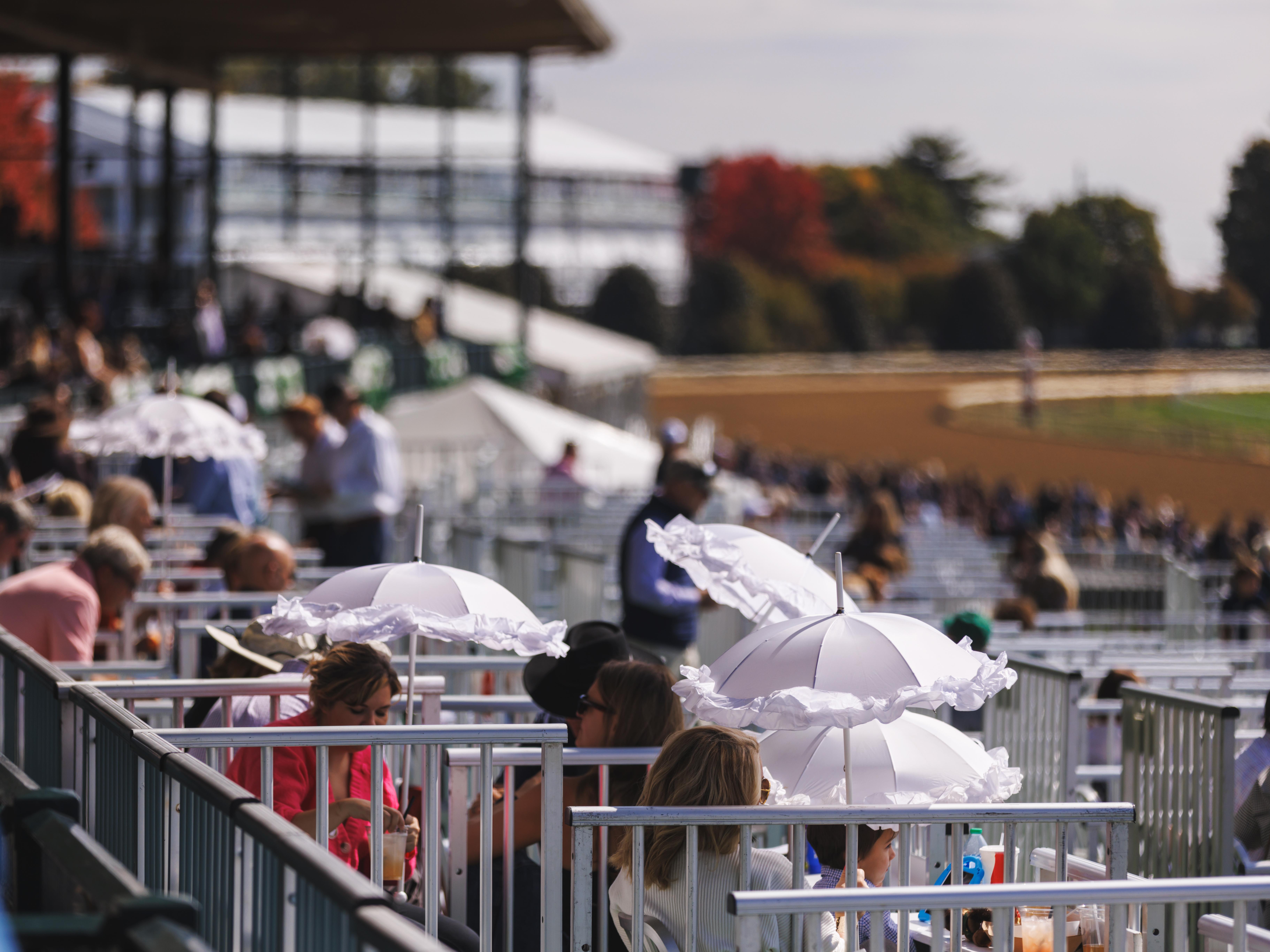 loge boxes
