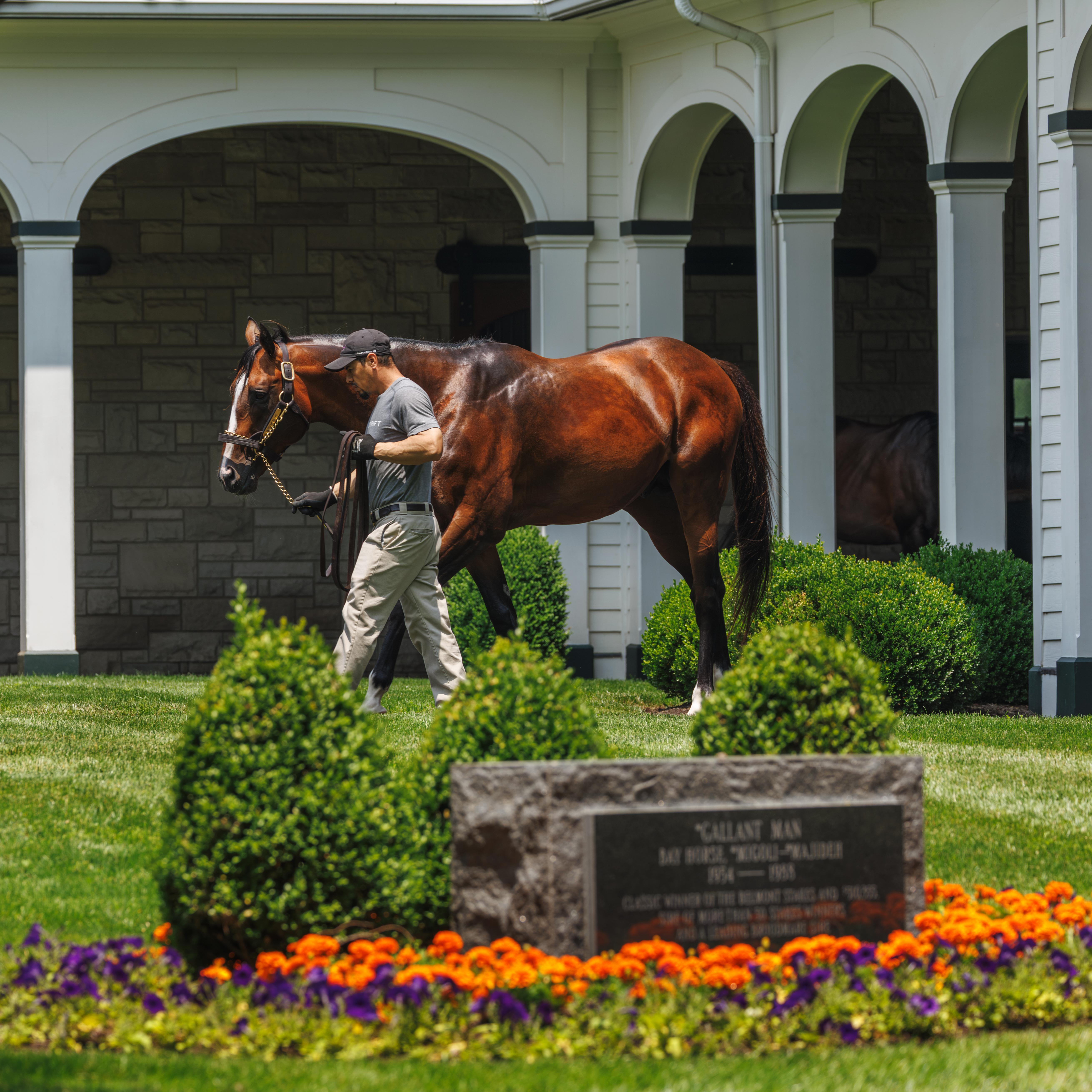 spendthrift