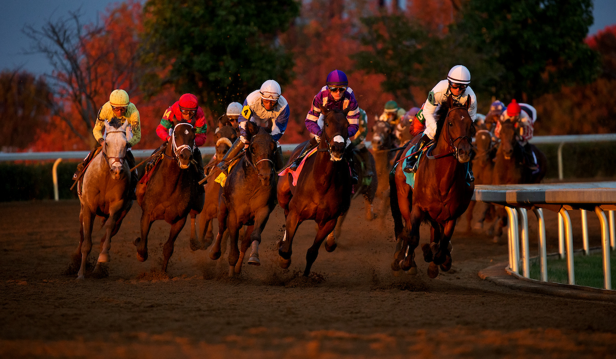 Breeders Cup Seating Chart