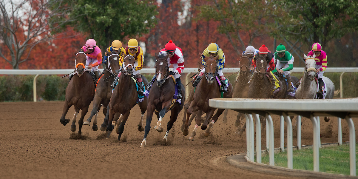 Breeders Cup Seating Chart