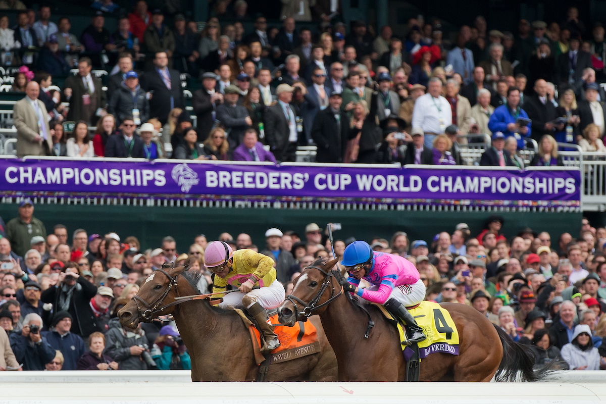 Breeders' Cup at Keeneland