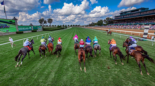 top down view of horses racing on track