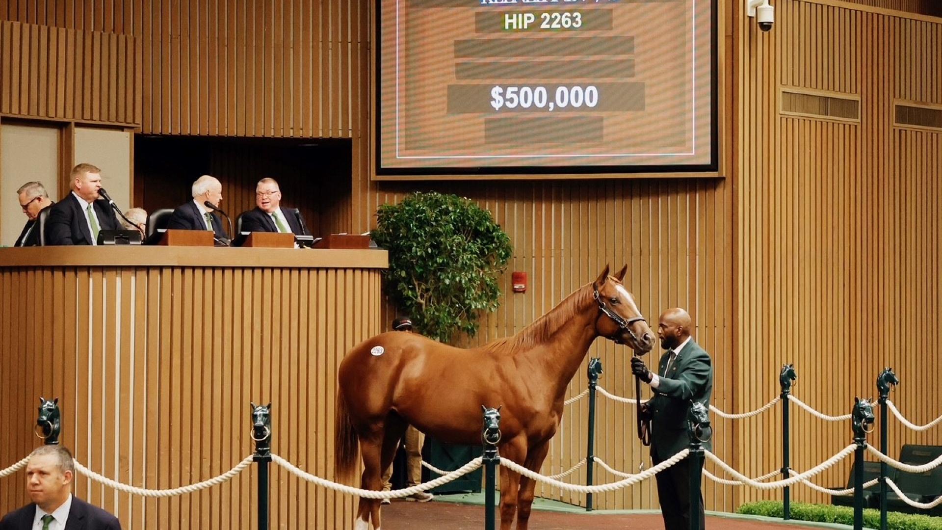 hip 2263