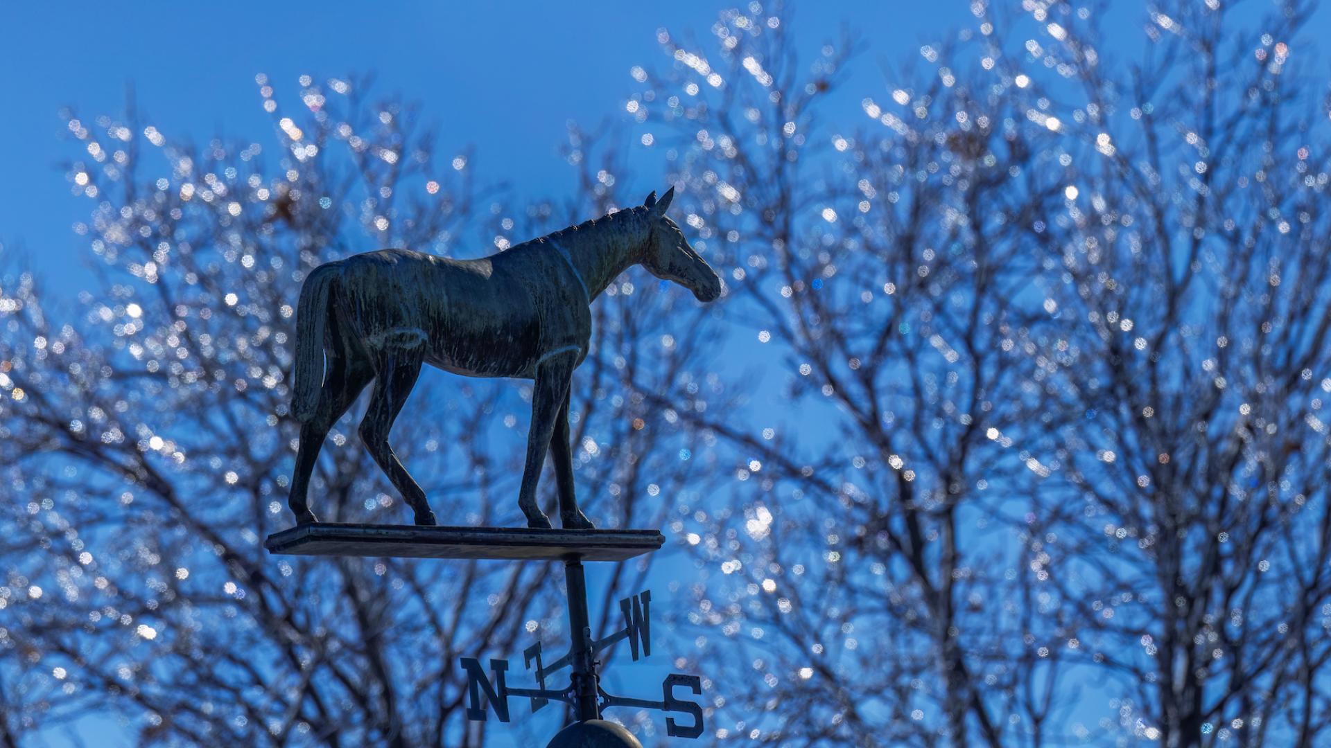 weathervane