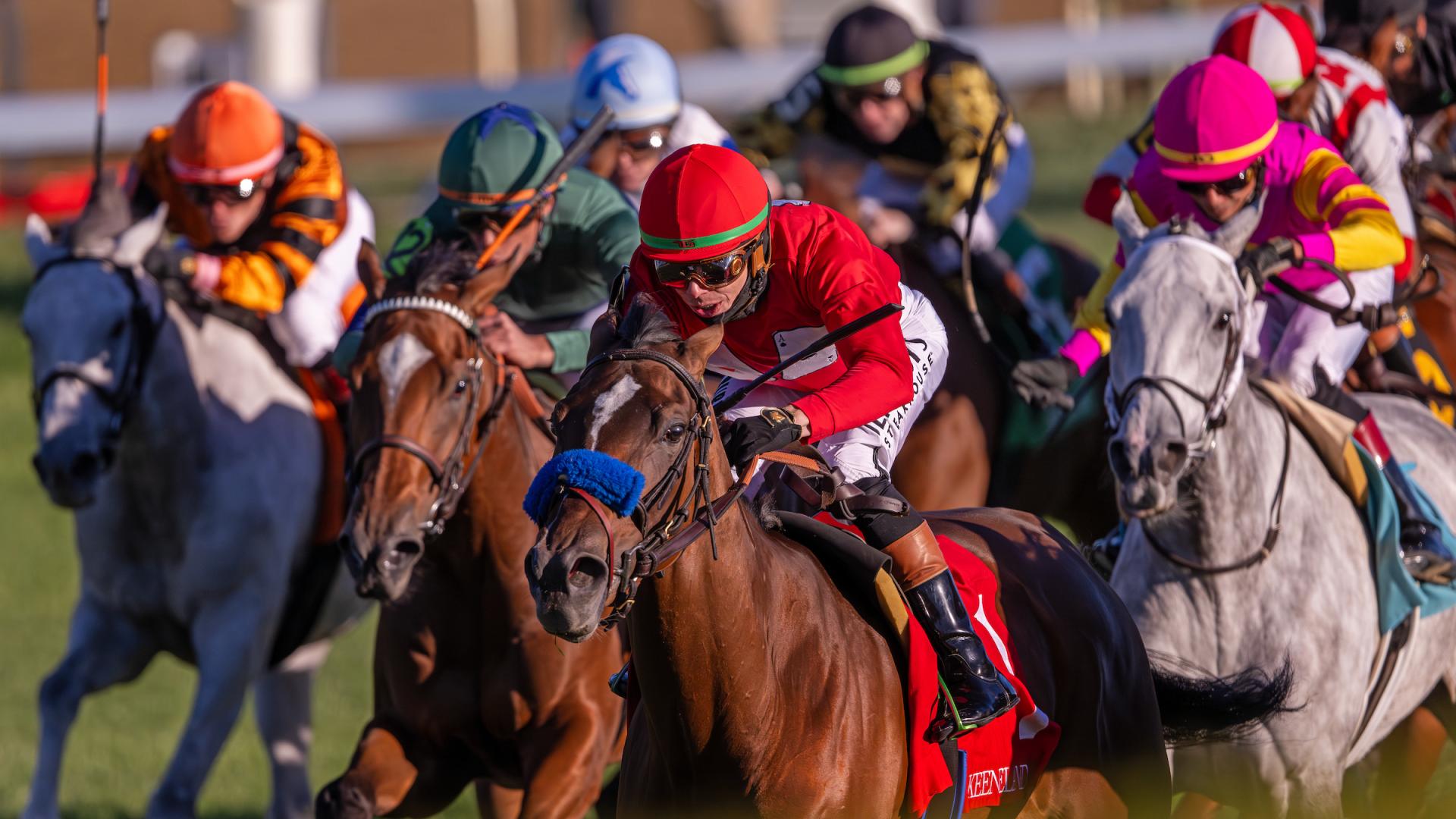 horses running
