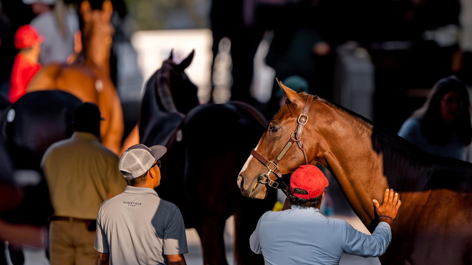 september sale horse