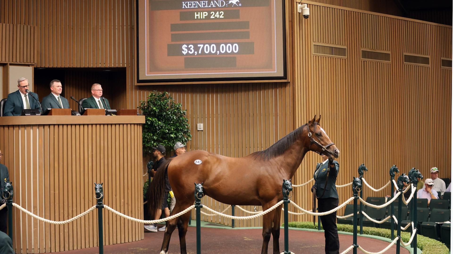 hip242