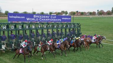 Breeders' Cup starting gate