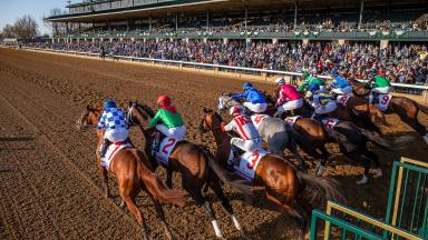 Keeneland Schedule 2022 Keeneland To Award A Record $7.7 Million In Revitalized 2022 Spring Meet  Stakes Schedule | Keeneland