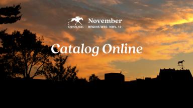 catalog online 