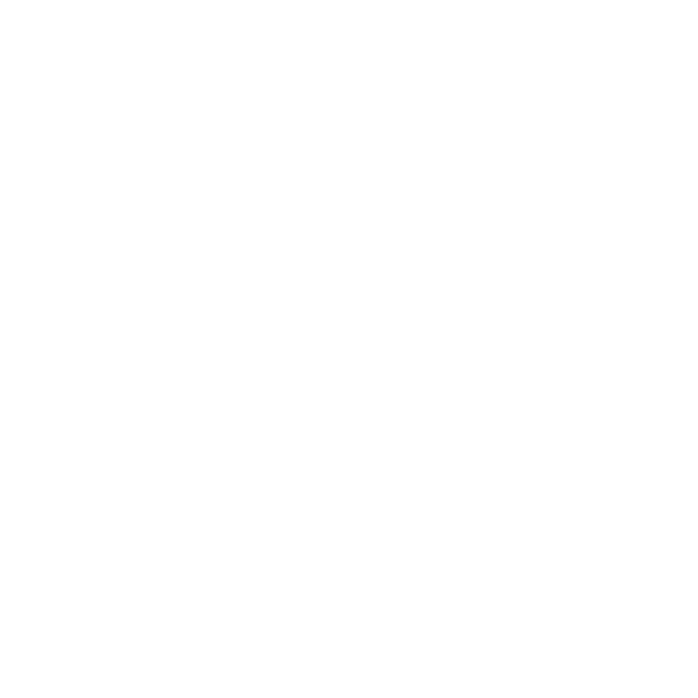Toyota Logo