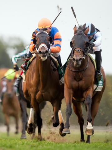 150 000 Rood Riddle Dowager G3 Keeneland