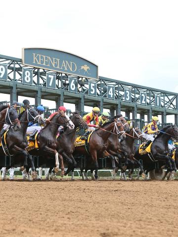 500 000 Claiborne Breeders Futurity G1 Keeneland