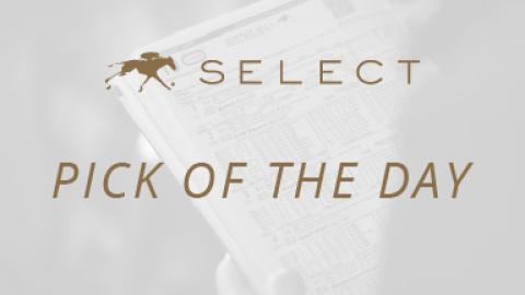 Keeneland Select Pick of the Day