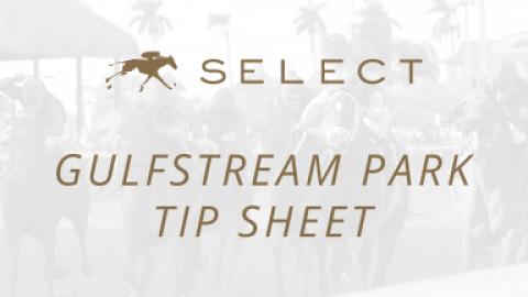 Gulfstream Park Tip Sheet 