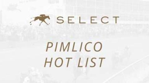 Pimlico Hotlist 