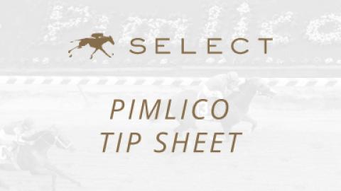 Pimlico Tip Sheet 