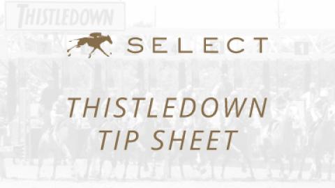 Thistledown Tip Sheet