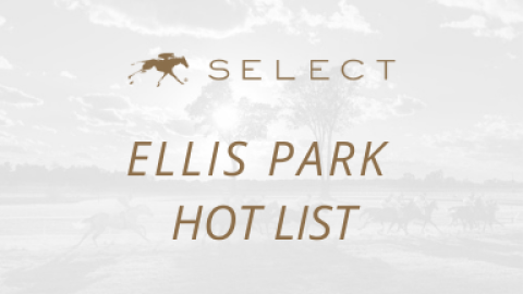 Ellis Park Hotlist