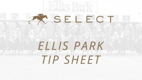 Ellis Park Tip Sheet