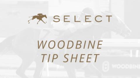 Woodbine Tip Sheet