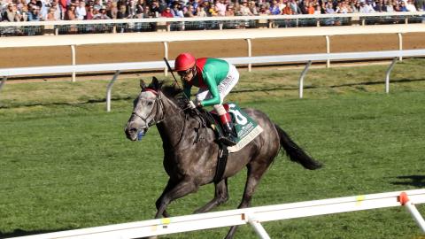 Rodd & Riddle Dowager