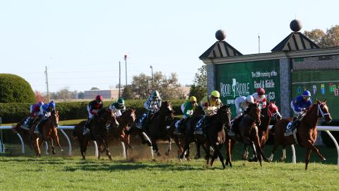 Horses racing in the 25th Running of the Rood & Riddle