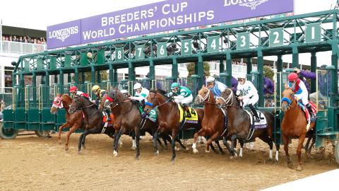 Longines Breeders' Cup Classic G1 - 39th Running - horses at the starting gate
