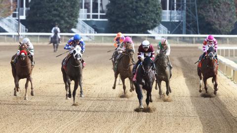 Horses racing in the 14th running of The Perryville