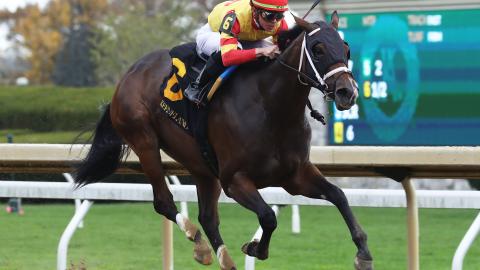 Tyler Gaffalione aboard Olga Isabel 10/26/23