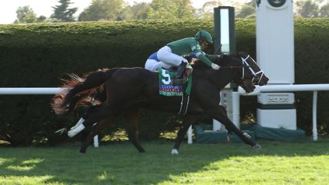 Up to the Mark and Master of The Seas (IRE) finishing noses apart in Saturday's Coolmore Turf Mile