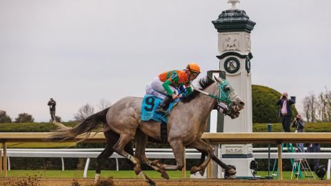 The Commonwealth 2023