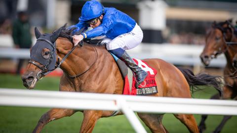 master of the seas (IRE)