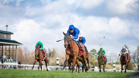 master of the seas (IRE)