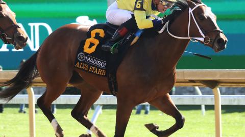 Alva Starr running in the Resolute Racing Madison (G1) 2024