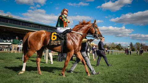 Arzak, Shakertown, 4-6-24