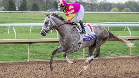 TAPIT TRICE RUNNING IN THE TOYOTA BLUE GRASS 2023