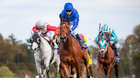 BoldActSycamoreKS10-13-23