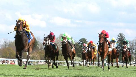 The Giant's Causeway - 25th Running - 04-16-22 