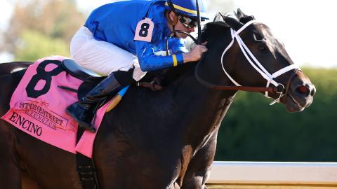 ENCINO - The Stonestreet Lexington G3 - 42nd Running - 04-13-24