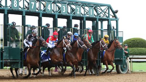 The Baird Doubledogdare - G3 - 28th Running - 04-21-23