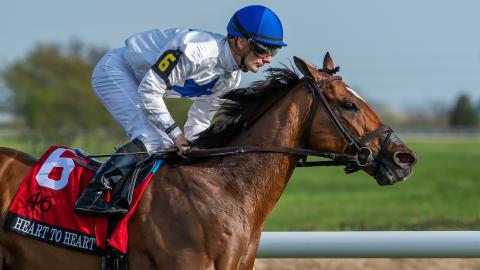 Silent Heart's sire, Heart to Heart