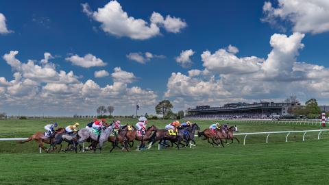 spring racing on turf
