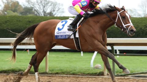 Leslie's Rose racing in the Ashland (G1)