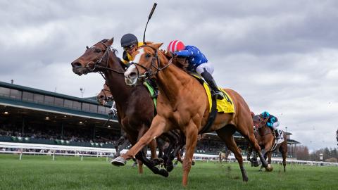 Neat and Cugino running in the Transylvania (G3) 2024